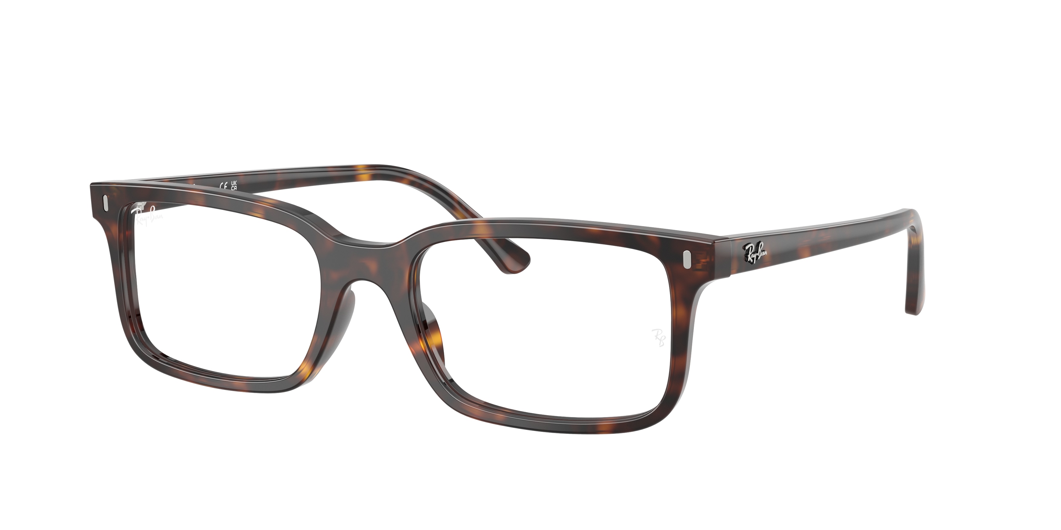 Ray Ban RX5445 2012  